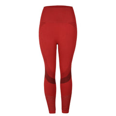 Ladies High Waist Yoga Legging-SavanaZon